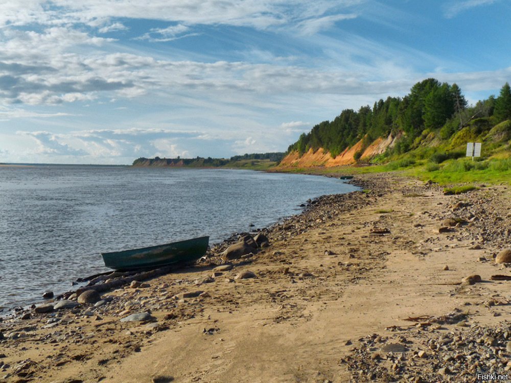 Берег Северной Двины Копачево