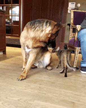 Вот чего уставился