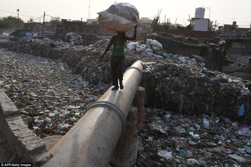 Жизнь в пластмассовом аду: трущобы Дели тонут в мусоре