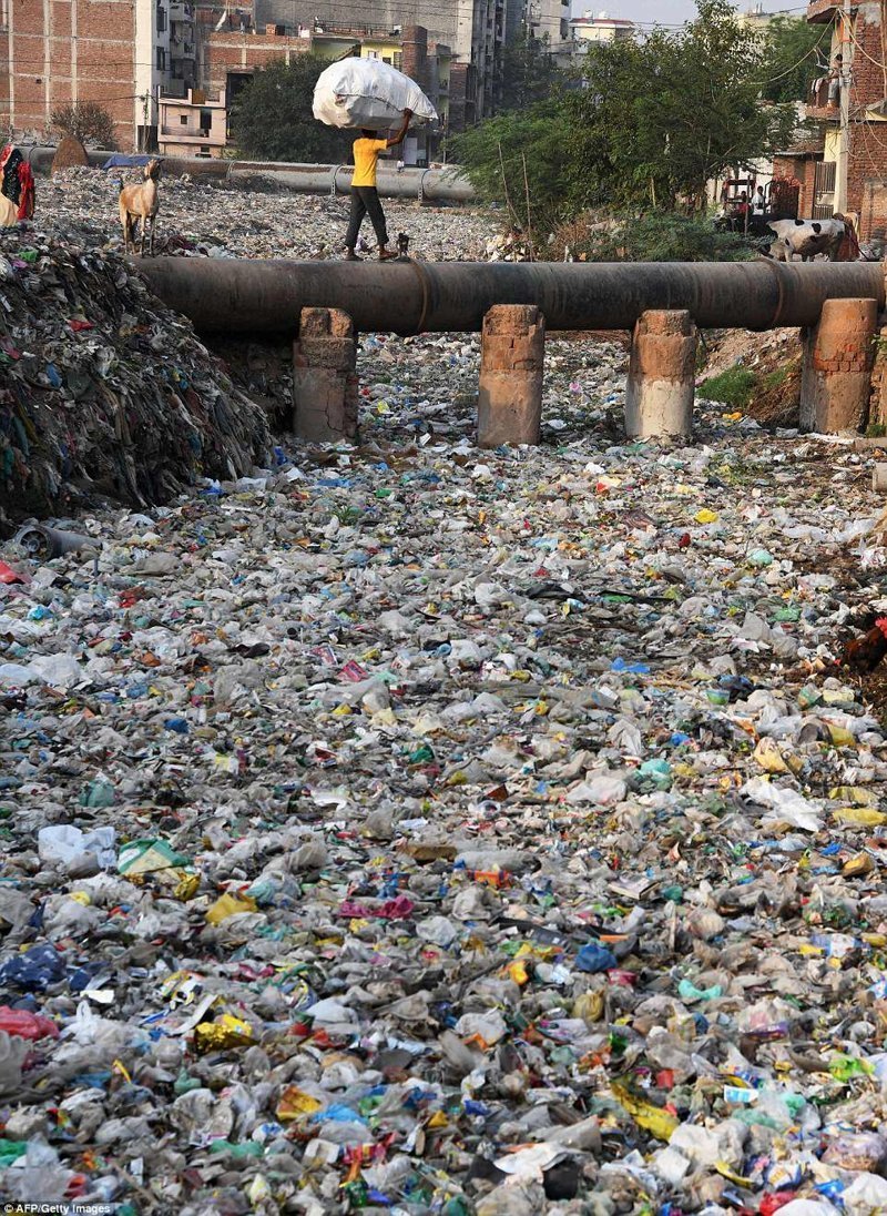 Жизнь в пластмассовом аду: трущобы Дели тонут в мусоре