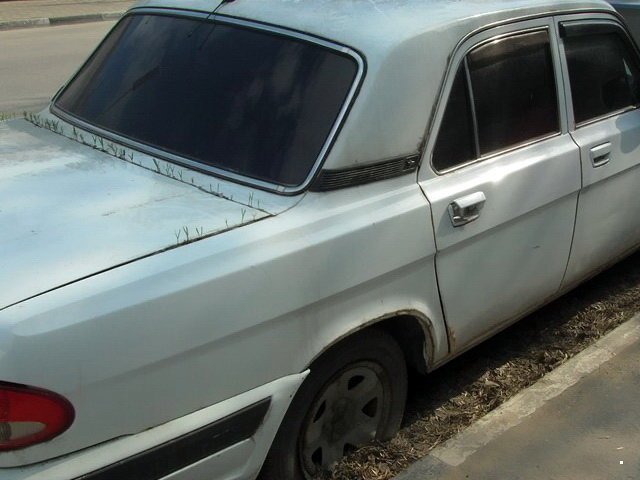 Автовсячина