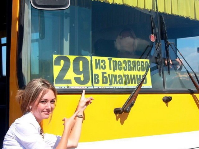 Автовсячина