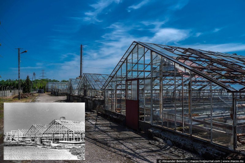 Реновация Освенцима: кто и как живёт в бывших бараках лагеря смерти
