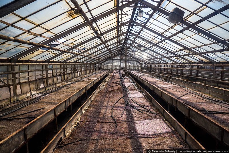 Реновация Освенцима: кто и как живёт в бывших бараках лагеря смерти