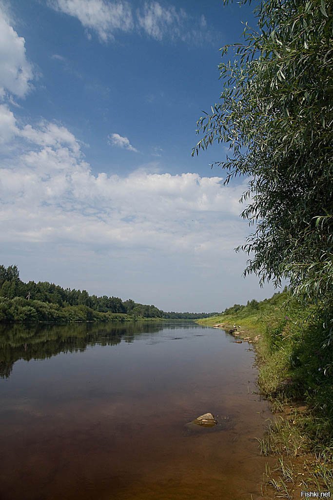 Река мста новгородская область. Река Мста. Р Мста Новгородская область. Река Мста Сурики. Река Мста 2022.