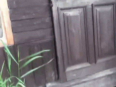 До следующих выходных