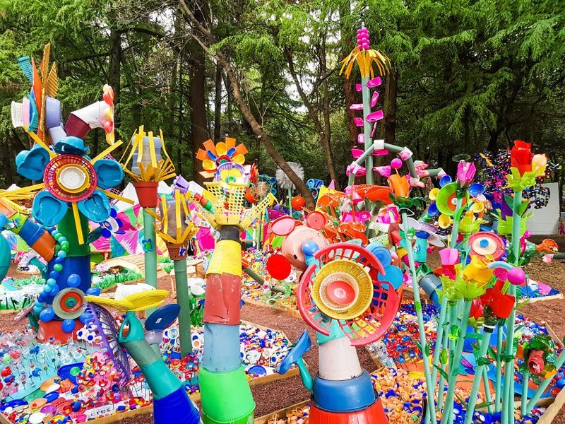 В Мехико 3 тонны пластиковых отходов превратились в разноцветный лес
