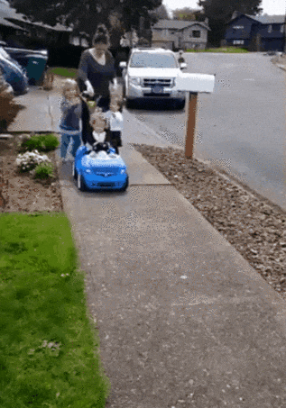 Подстава на дороге