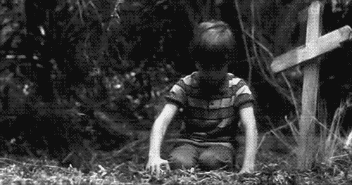 XX век, Феномен за феноменом. Часть  1 XX век, Феномен за феноменом. Часть  1