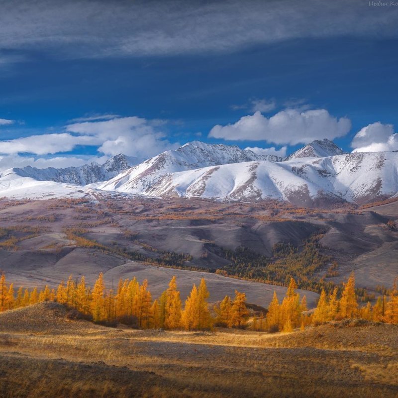 Осень у Курайского хребта, Алтай