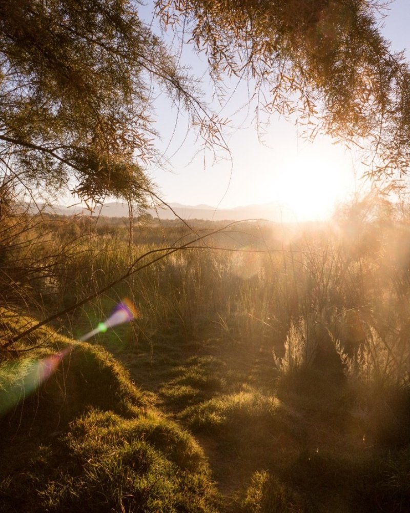 25 чудесных фотографий, доказывающих, что рассвет — лучшее время суток