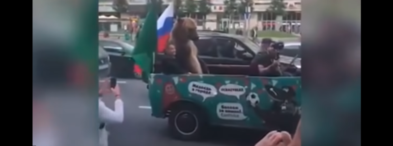 Медведь с вувузелой отпраздновал победу российской сборной в центре Москвы: видео
