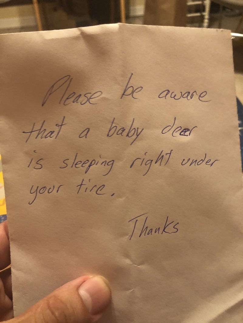 Соседка родителей одного парня оставила под их дверью весьма важную записку:
