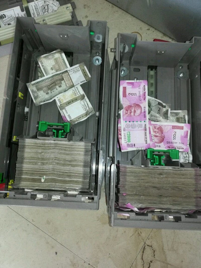 В Индии крысы уничтожили более миллиона рупий в банкомате