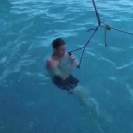 Смелый прыжок