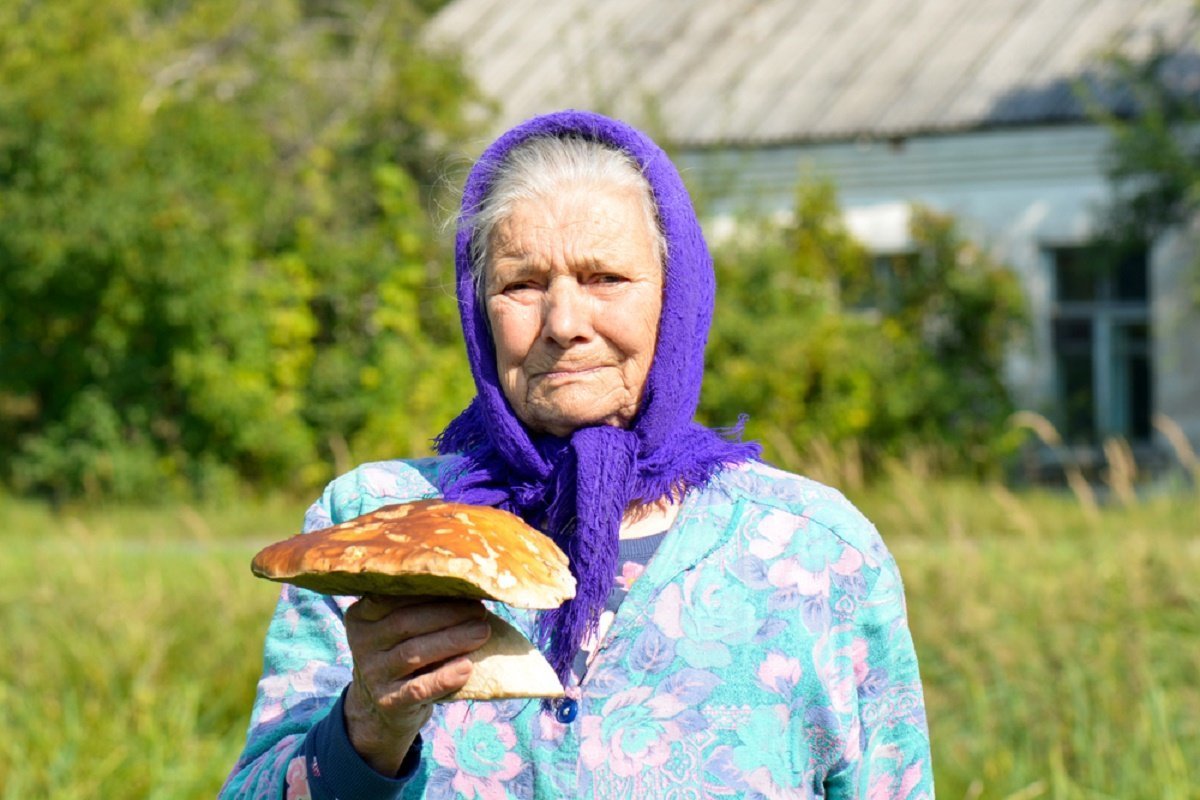 Бабушка что будет делать. Бабка в лесу. Бабушка с грибами. Гриб бабка. Бабушка собирает грибы.