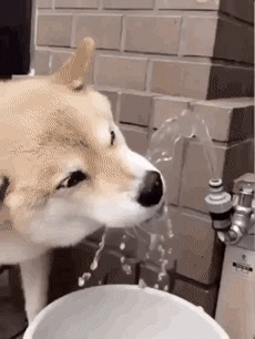 На улице жара
