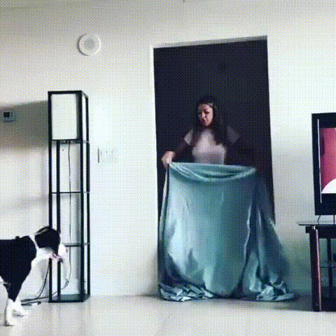 Куда делась хозяйка