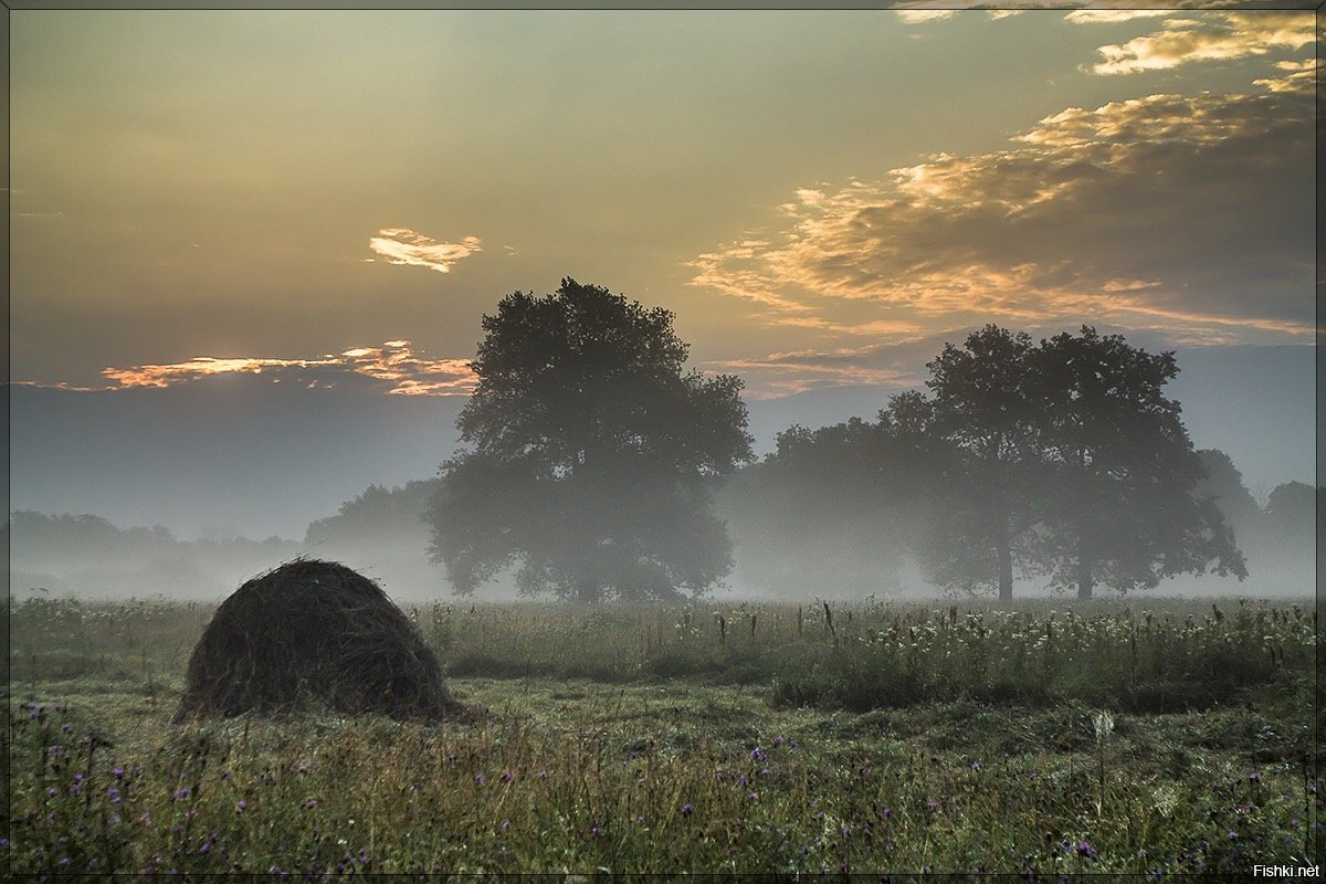 Сен серо. Утренний туман. Поле в тумане. Туманное утро в деревне. Туманный рассвет в поле.