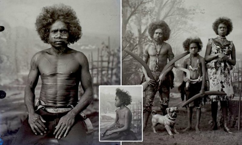 Голые волосатые аборигенки австралии (61 фото)