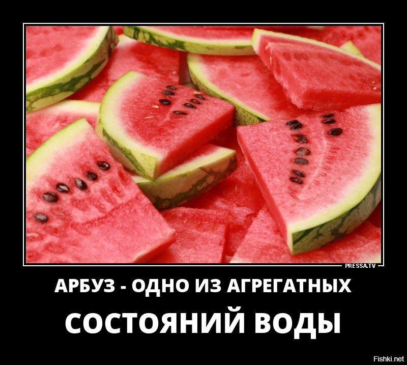 Отравилась арбузом. Арбуз. Отравление арбузом юмор. Почему травятся арбузом. Не все арбузы одинаково полезны.