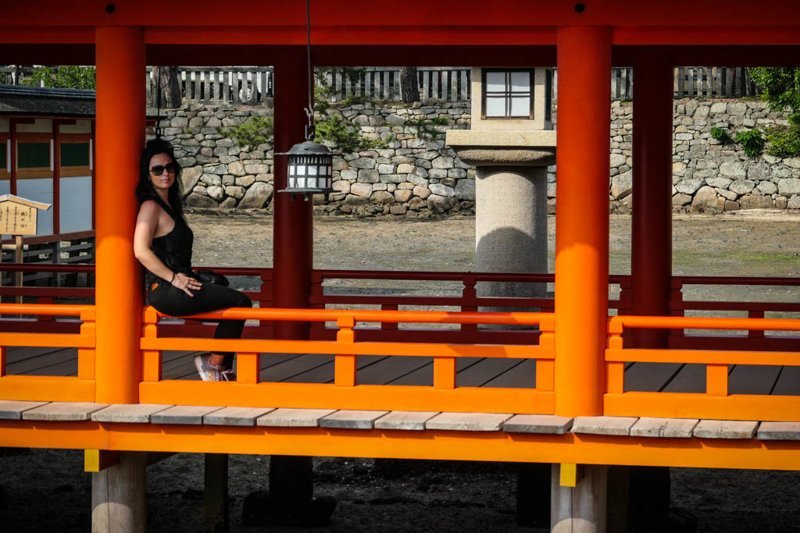 Miyajima mei. Tsubaki Miyajima.