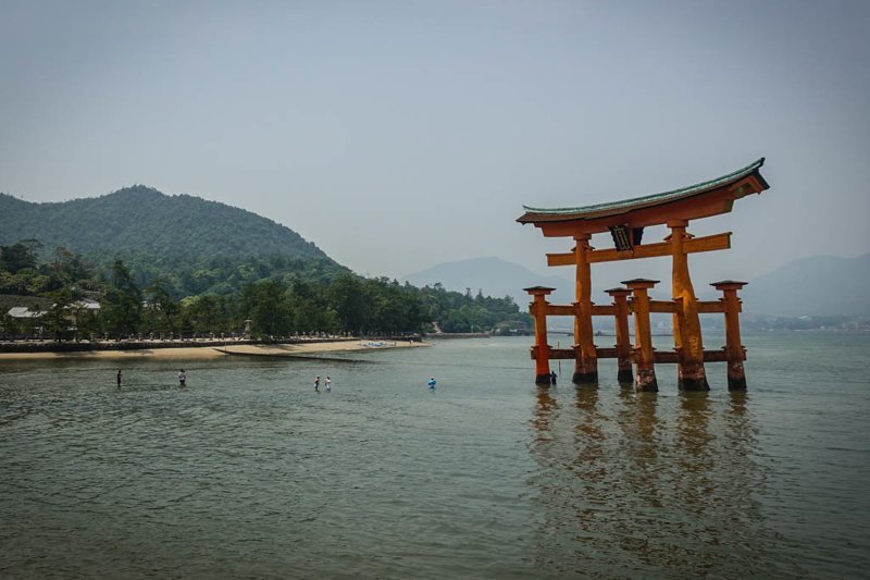 Miyajima mei. Остров Миядзима. Миядзима. Миядзиму фото.