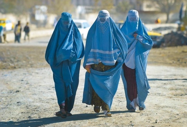 Кстати в Афганистане мужчины тоже "тащатся" от полноты. По местному поверью только полная женщина  сможет выносить и родить здоровых детей