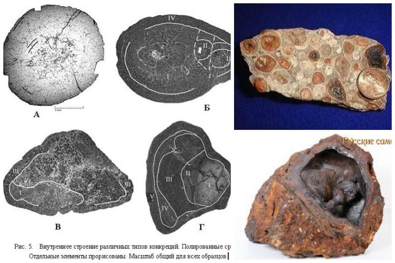 Бобовины — природные минеральные образования (конкреции) эллипсоидальной или сферической формы размером от 1 мм до 3 см
