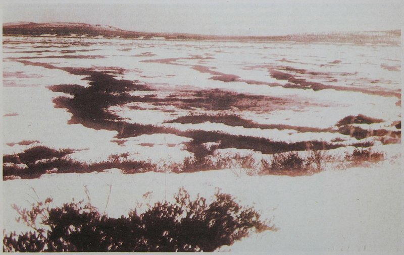 Топи Тунгуски, в районе которых упал феномен. Фотография из журнала "Вокруг света", 1931 год.