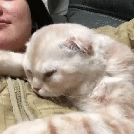 Уйди с глаз долой