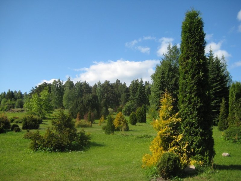 Ботанический сад ПетрГУ