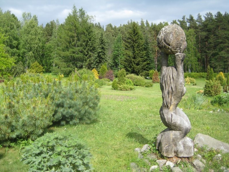 Ботанический сад ПетрГУ