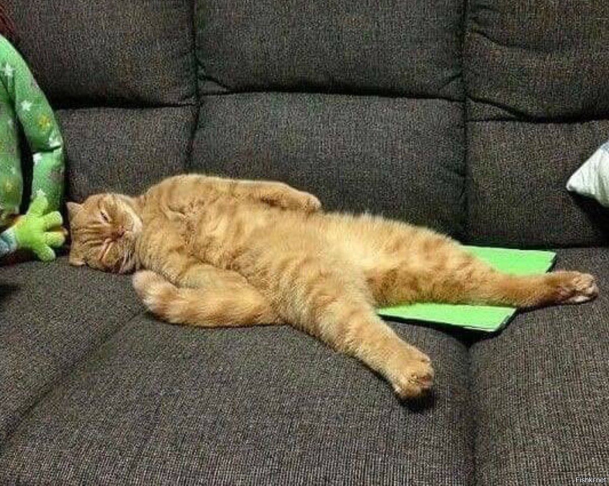 Надо спать диваны. Кот на диване. Кот валяется на диване. Котик на диване. Кот лежит на диване.