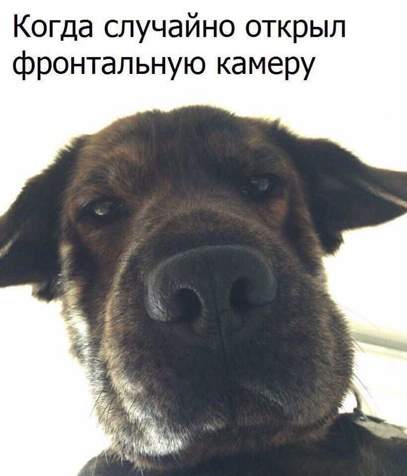 Прикольные картинки от Ксения Акимова за 07 июля 2018