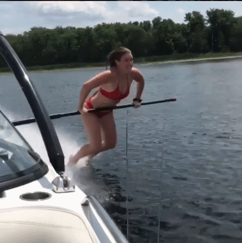 Гифки дня Гифки дня