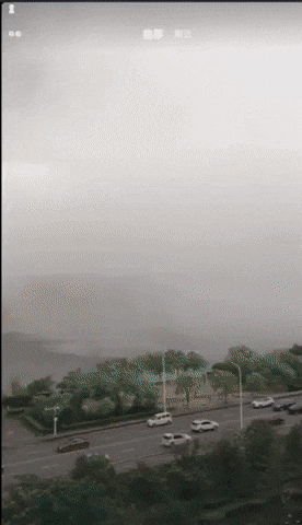 Гифки дня Гифки дня