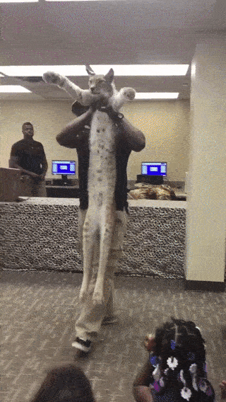 Гифки дня Гифки дня