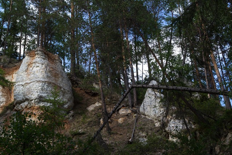 Архангельская область (скалы в Голубино)