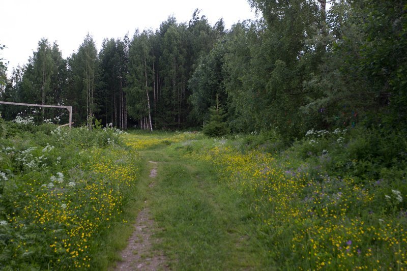 Дорога в Голубино из Архангельска. Скалы куша Архангельская область. Голубино Архангельская область проезд.