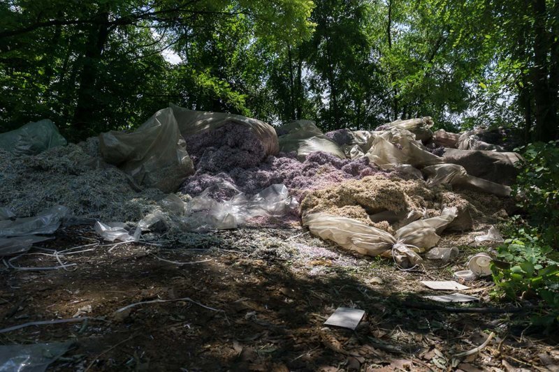 Миллионы гривен найдены в лесу под Днепром