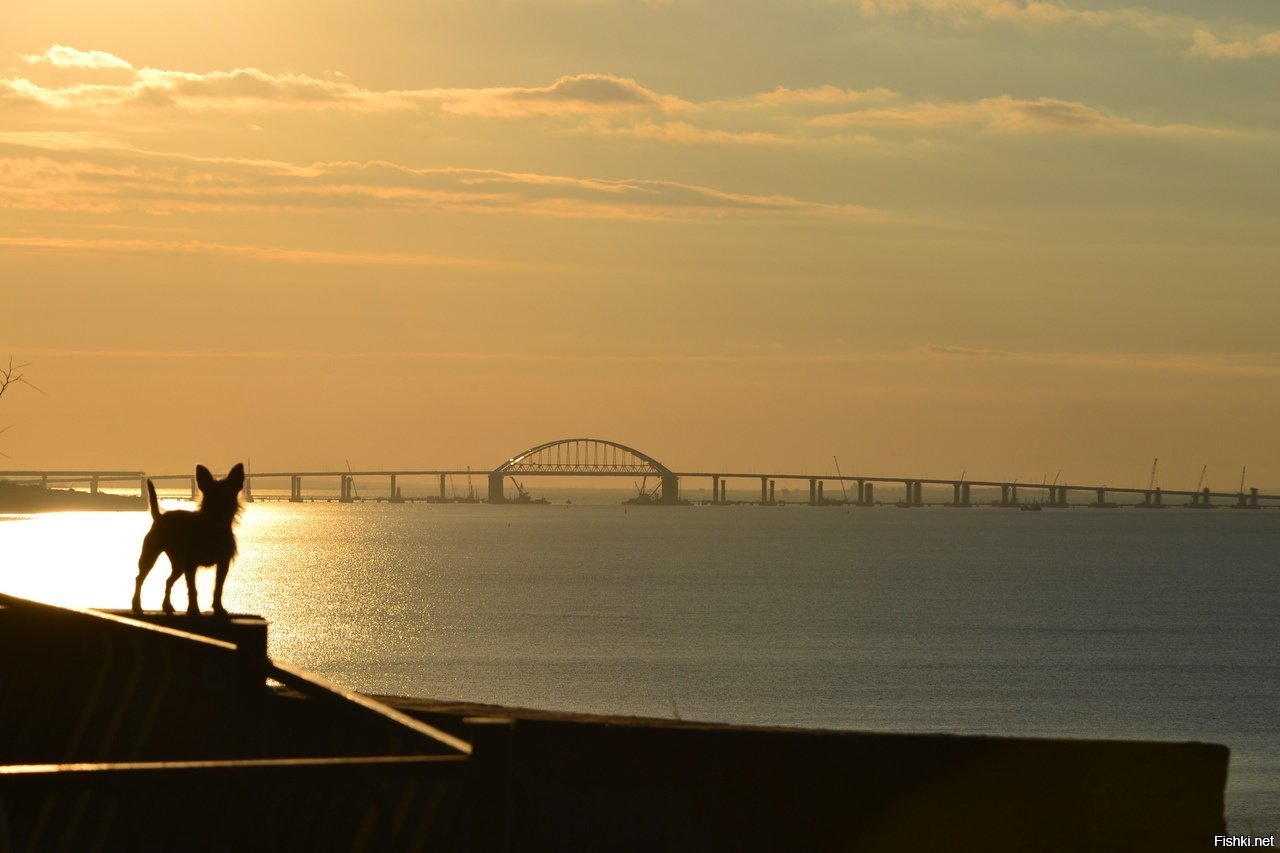 Утро крымский мост. Рассвет в Крыму мост. Крымский мост на рассвете. Рассвет на мосту. Рассвет на набережной.