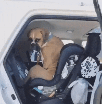 Занял детское автокресло