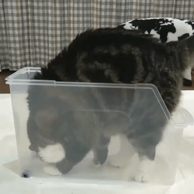 Главное, что ей удобно