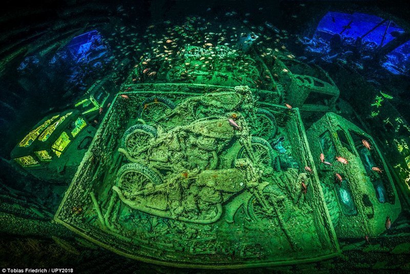 Победитель - снимок потопленного в Красном море британского сухогруза времен Второй мировой войны. Фотограф -  Тобиас Фридрих.