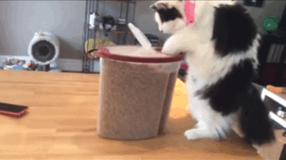 Вот и в жизни также