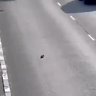 Подборка автомобильных гифок Подборка автомобильных гифок