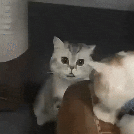 Серьезный разговор