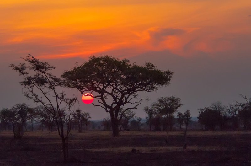 6. Национальный парк Серенгети (Танзания). Славится богатейшим животным миром