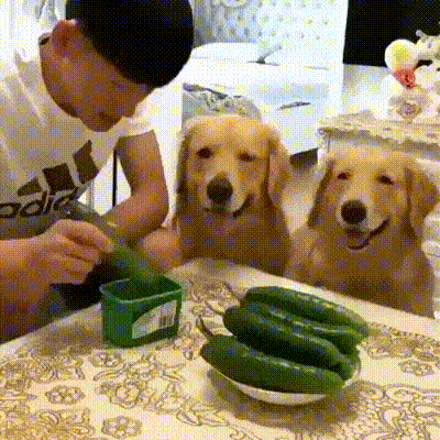 Отвлекающий маневр